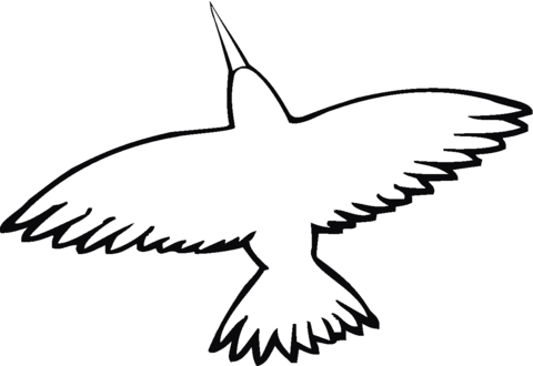 Hummingbird Spread Wing  Coloring Page